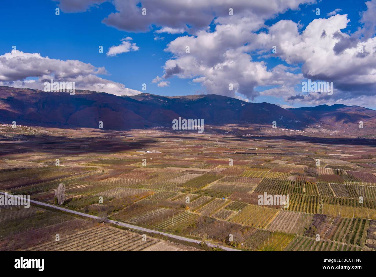 Pommiers à Arnissa, Grèce, bordés en rangées soignées avec des montagnes au loin et un ciel partiellement nuageux au-dessus. Un paysage rural paisible plein de na Banque D'Images