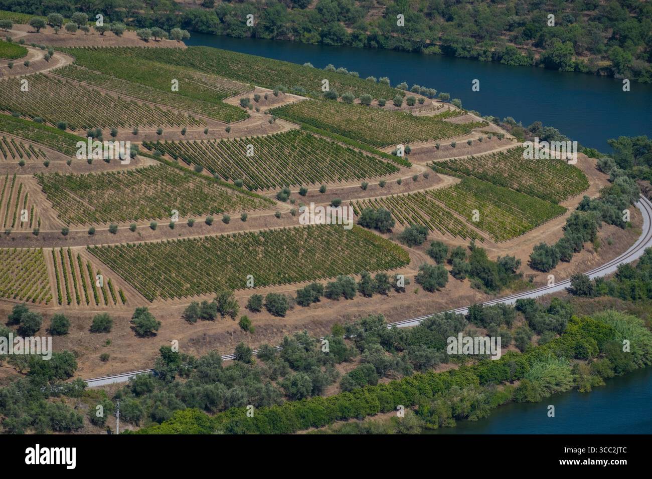 Vignobles au-dessus du fleuve Douro, Pinhão, Vila Real District, région du Nord, Portugal Banque D'Images