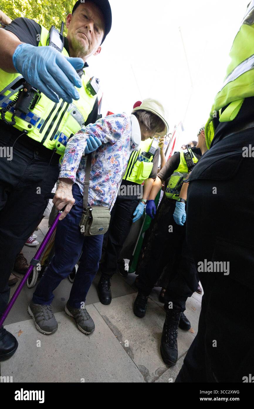 Activiste arrêté sur la place du Parlement pour avoir tendu une pancarte en faveur de Palestine action Banque D'Images