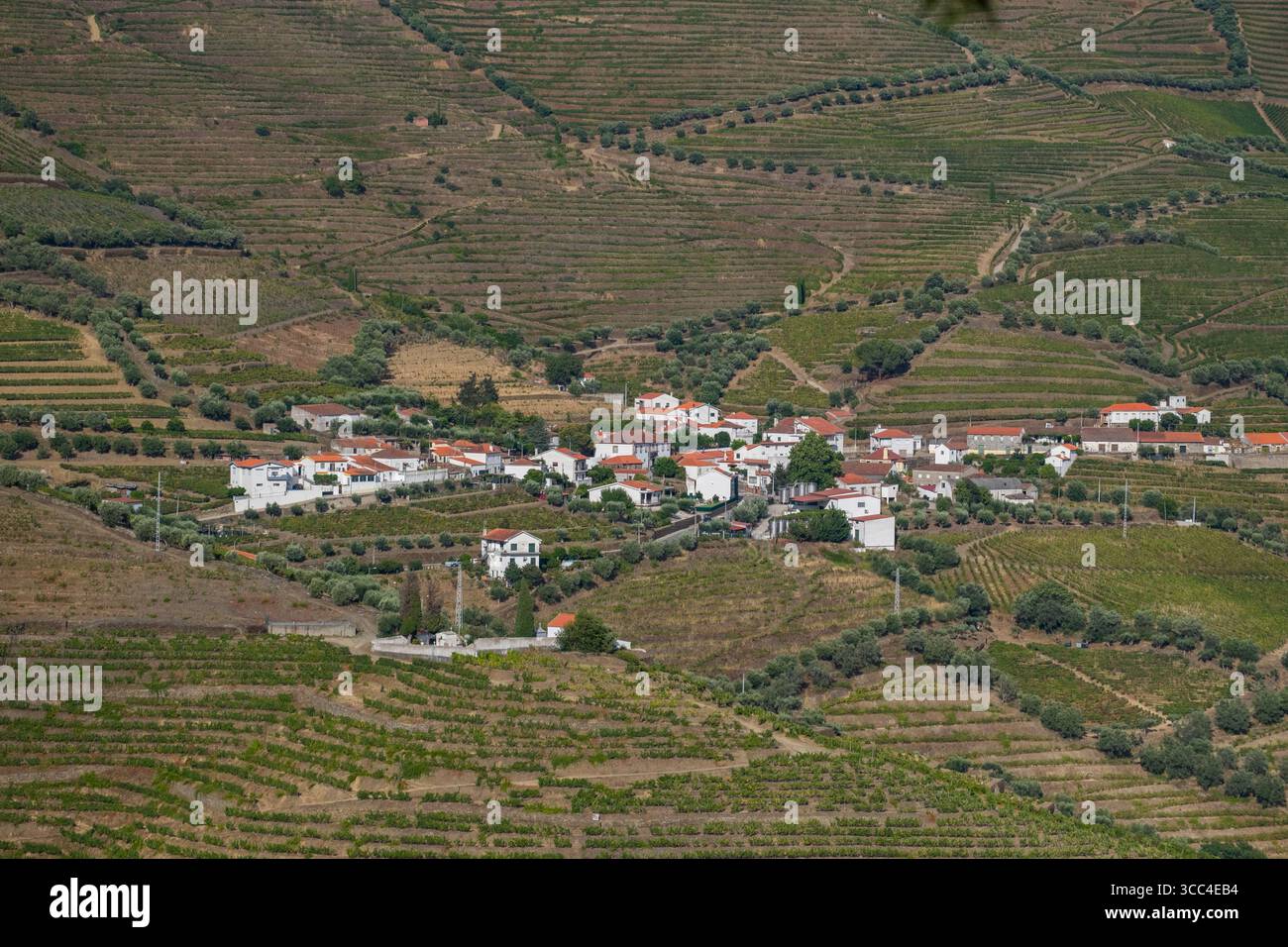 Ville rurale portugaise à flanc de colline entre les vignobles, Vila Real District, Portugal Banque D'Images