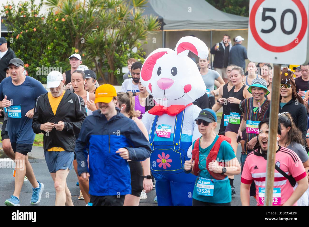 Dover Heights, Sydney, Australie. 10 août 2025. Des milliers de coureurs empruntent les rues de Sydney pour l’emblématique City2Surf, passant devant des quartiers résidentiels sur le parcours de 14 km qui relie le quartier des affaires à Bondi Beach. Crédit : Paul Lovelace/Alamy Live News Banque D'Images