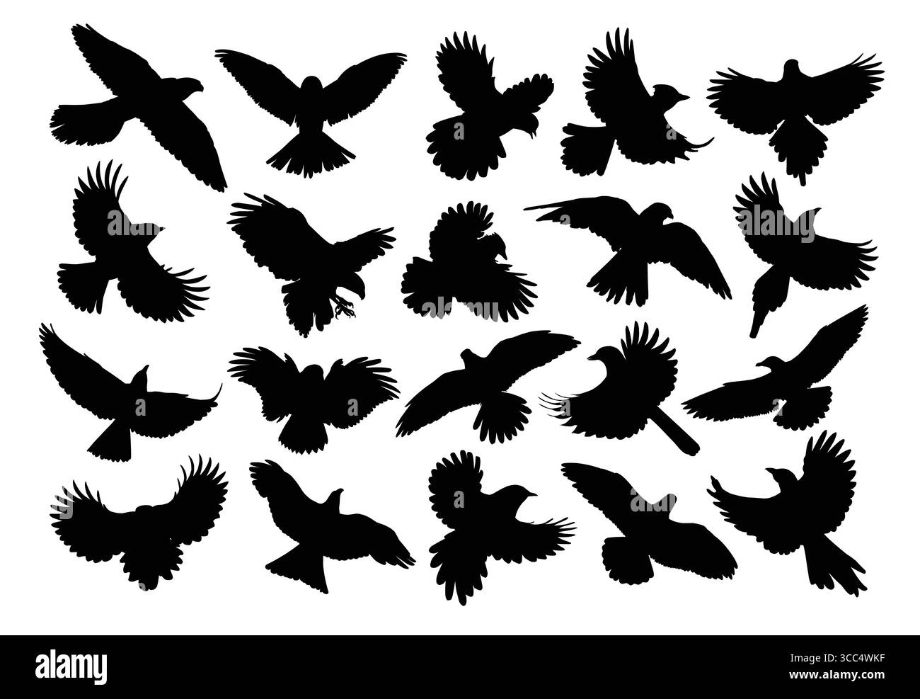 Un ensemble de silhouettes oiseaux de proie et oiseaux de mer en vol. Illustration de Vecteur