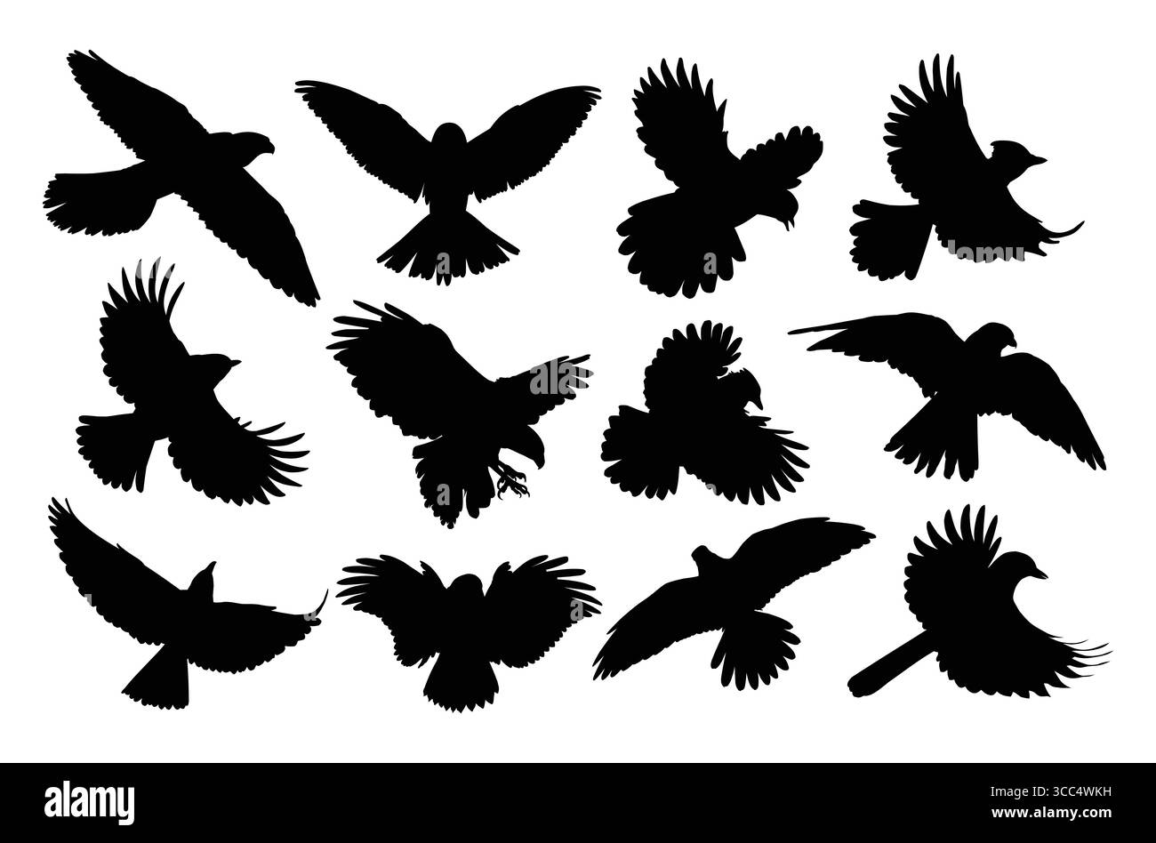 L'ensemble des silhouettes oiseaux de proie en vol. Illustration de Vecteur
