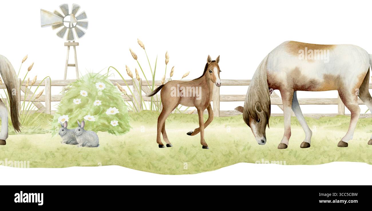 Cheval de ferme avec poulain pâturant sur le champ vert près de la clôture en bois paysage sans couture frontière isolée sur blanc. Scène de pâturage de campagne horizontale avec Banque D'Images