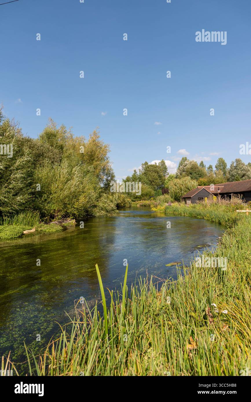 Tufton Hampshire Angleterre Royaume-Uni. 09.08.2025. La rivière test célèbre ruisseau de craie connu pour la pêche à la truite qui traverse Tufton au sud de Whitchurch Hampshi Banque D'Images