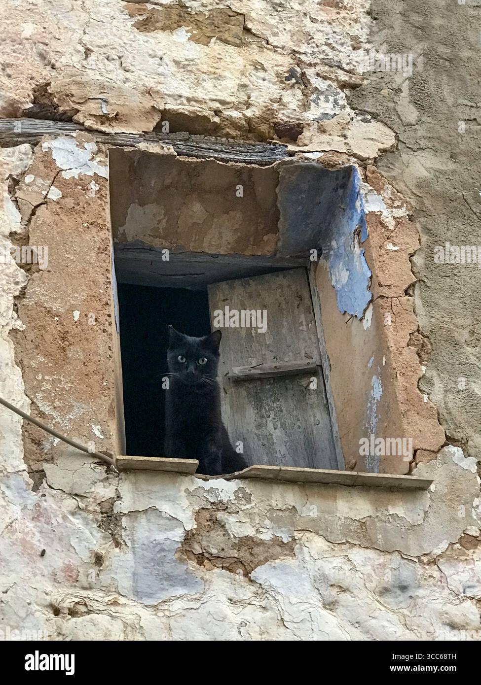 chat noir penché par la fenêtre d'une vieille maison Banque D'Images