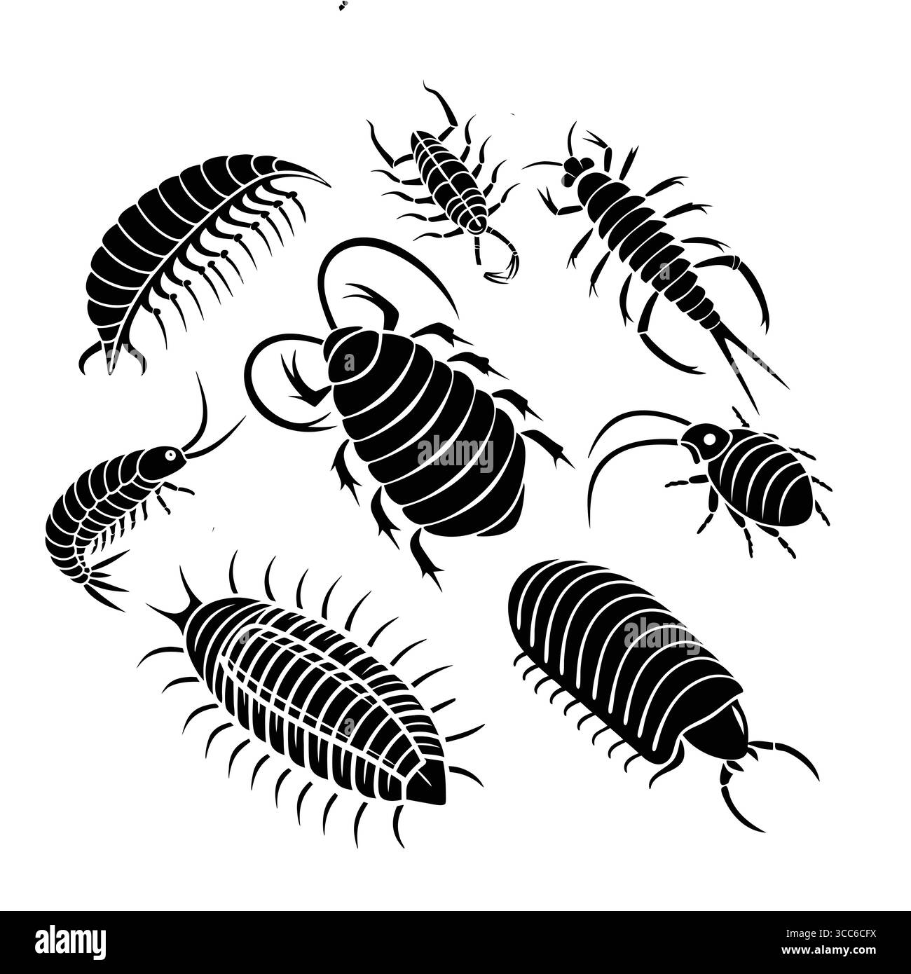 Collection d'insectes isopodes stylisés Arthropleura dans des motifs Silhouette noir et blanc Illustration de Vecteur