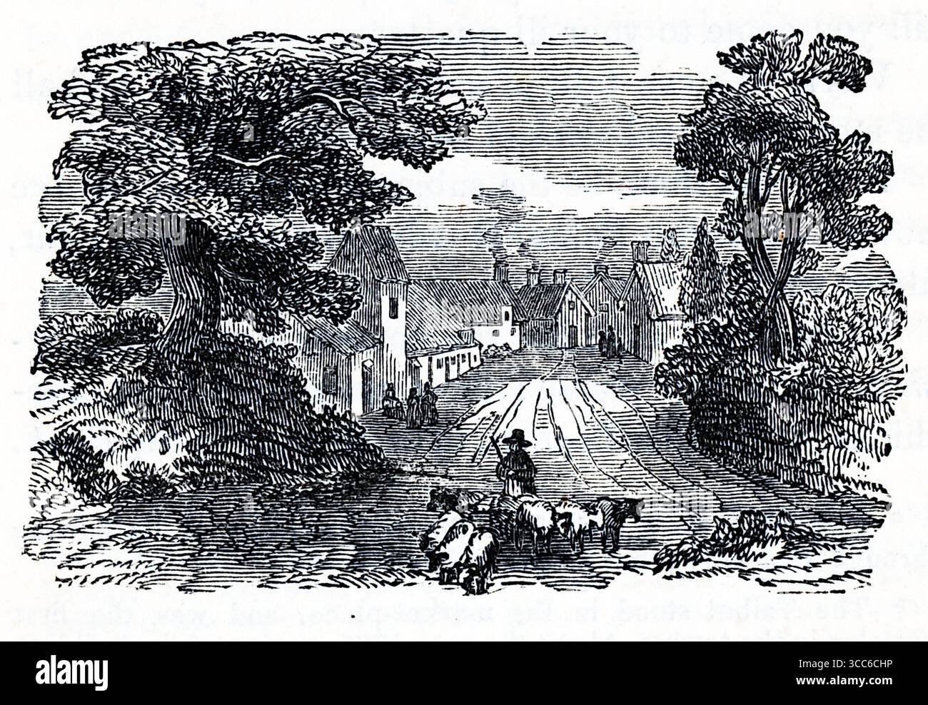 Ruelle de village gravée bordée d'arbres matures et de chalets cheminés, certains avec de la fumée qui monte. Une figure solitaire guide un petit troupeau de moutons sur la route, reculant au loin. La composition évoque un départ pastoral – calme, sans cérémonie, mais résonnant – suggérant un adieu au lieu, à la saison ou à la vocation dans un cadre rural du XVIIIe siècle. D'après une sélection de gravures imprimées sur cuivre et sur bois publiées par Henry Kent Causton en 1851 dans le cadre du livre d'Izaak Walton et Charles Cotton, The Compleat Angler. Banque D'Images
