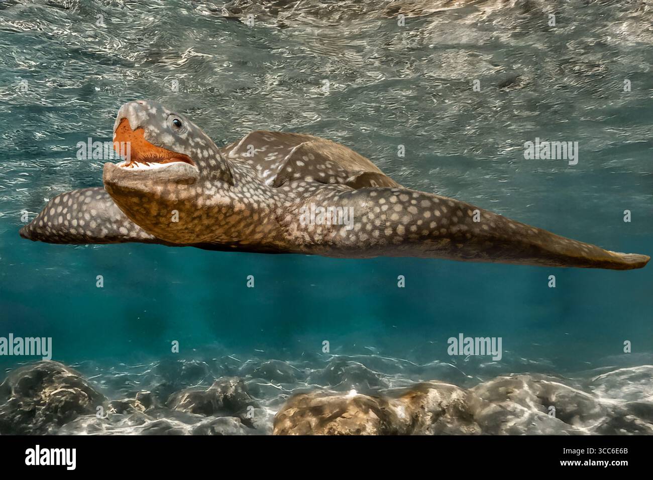Tortue luth (Dermochelys coriacea) nageant dans la mer Banque D'Images