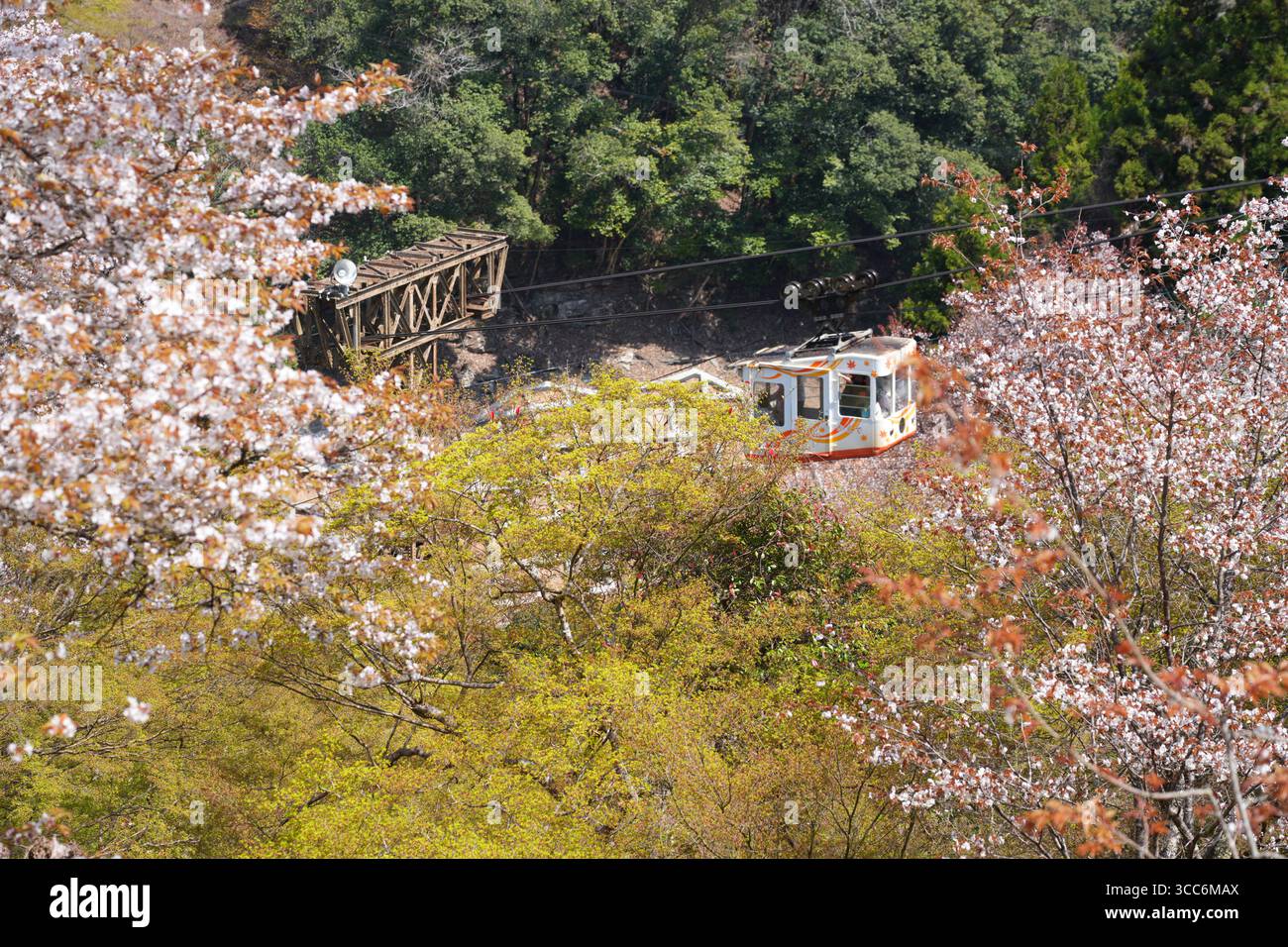YOSHINO, JAPON – 9 avril 2025 - vue du téléphérique Yoshino Ropeway reliant la gare de Yoshino à Yoshinoyama pendant la saison des cerisiers en fleurs. Yoshino est un Banque D'Images