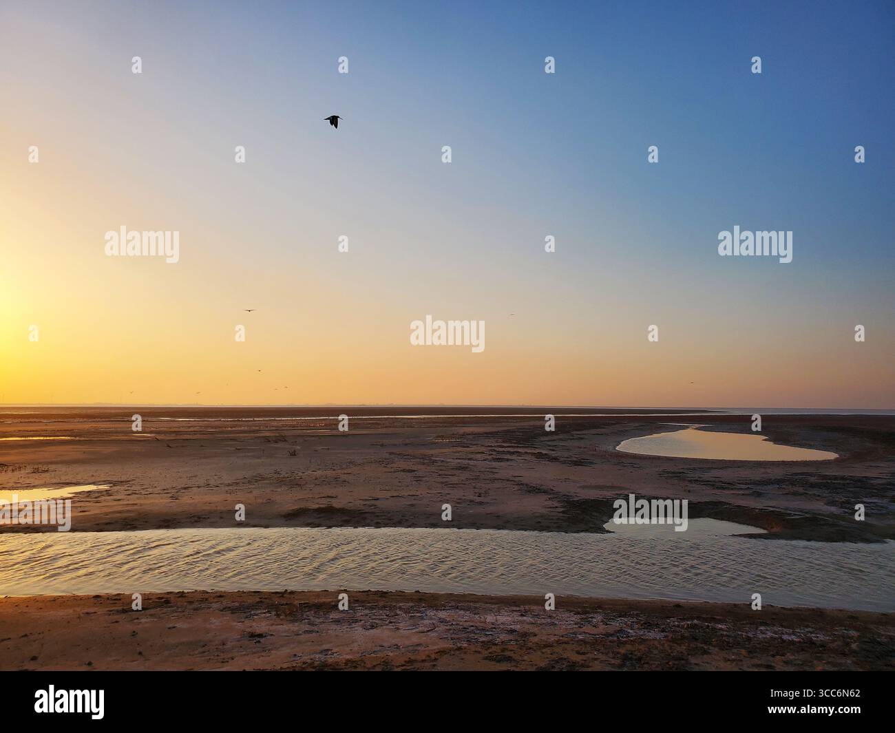 Coucher de soleil doré sur les vasières du delta du fleuve jaune avec piscines de marée et oiseaux, mer de Bohai, Chine Banque D'Images