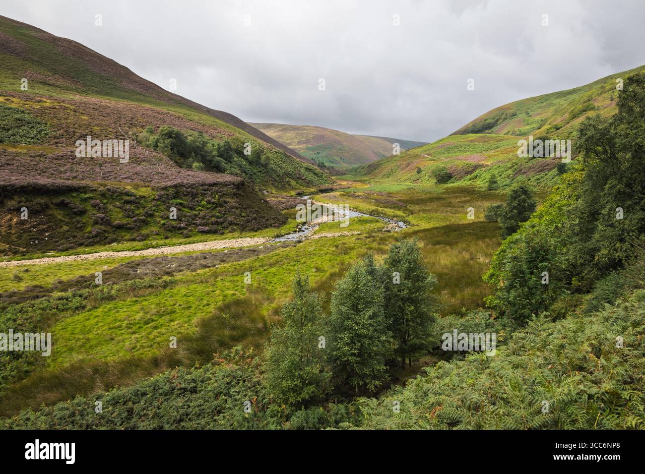 Une belle vue de Langden Brook dans la vallée de Langden dans la forêt de Bowland dans le Lancashire, Angleterre par une journée nuageuse, avec des saumons et de la bruyère. Banque D'Images