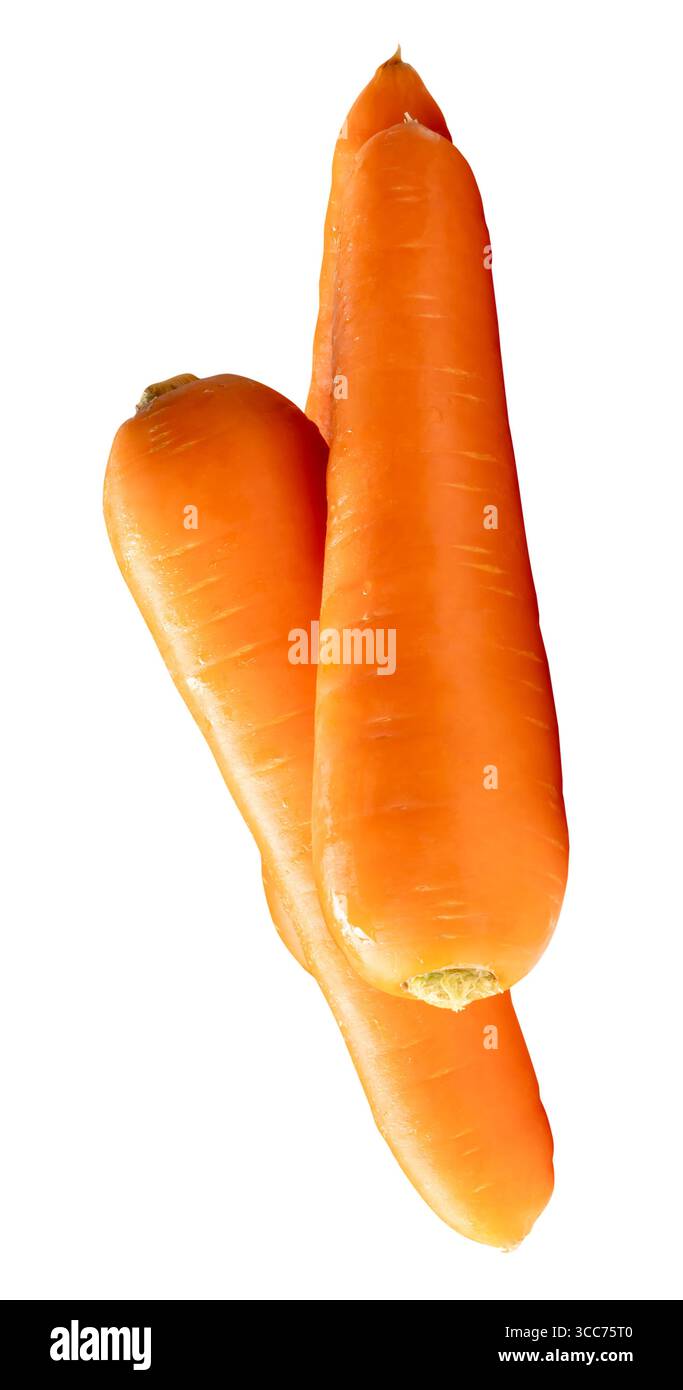 Vue de côté de trois racines de carotte orange fraîches dans la pile est isolée sur fond blanc avec chemin de découpage. Banque D'Images