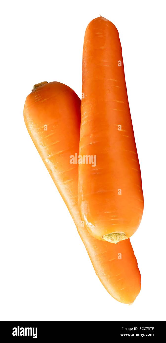 Vue latérale de deux racines de carotte orange fraîches dans la pile est isolée sur fond blanc avec chemin de découpage. Banque D'Images
