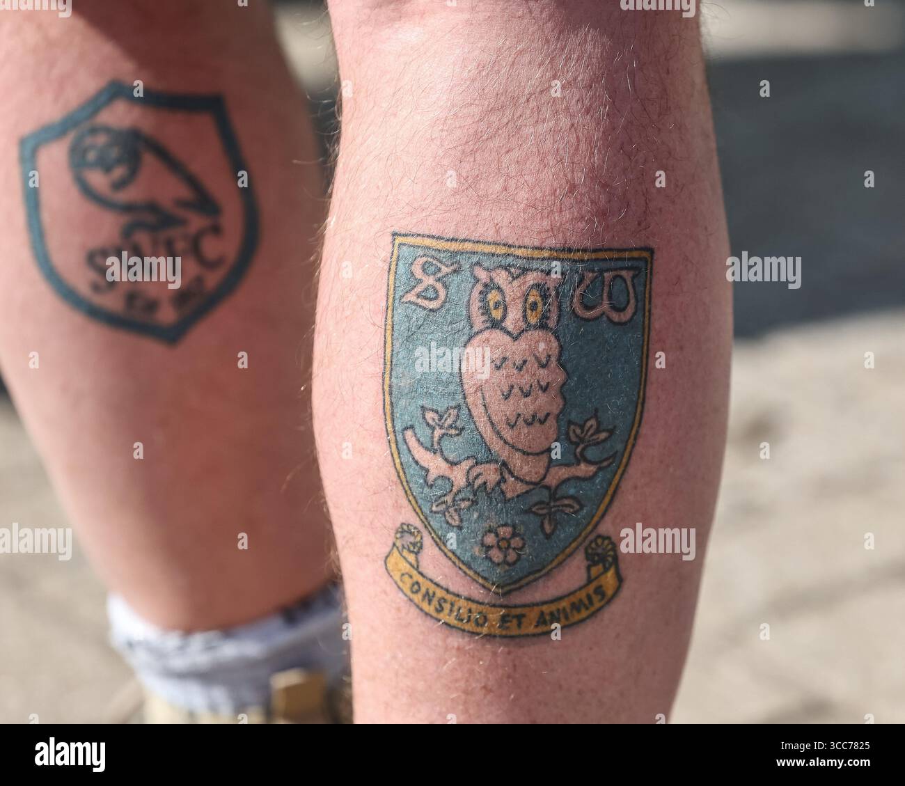 Leicester, Royaume-Uni. 10 août 2025. Fan de Sheffield Wednesday avec des tatouages de club sur ses jambes lors du match du Sky Bet Championship Leicester City vs Sheffield Wednesday au King Power Stadium, Leicester, Royaume-Uni, le 10 août 2025 (photo par Mark Cosgrove/News images) à Leicester, Royaume-Uni le 8/10/2025. (Photo de Mark Cosgrove/News images/SIPA USA) crédit : SIPA USA/Alamy Live News Banque D'Images