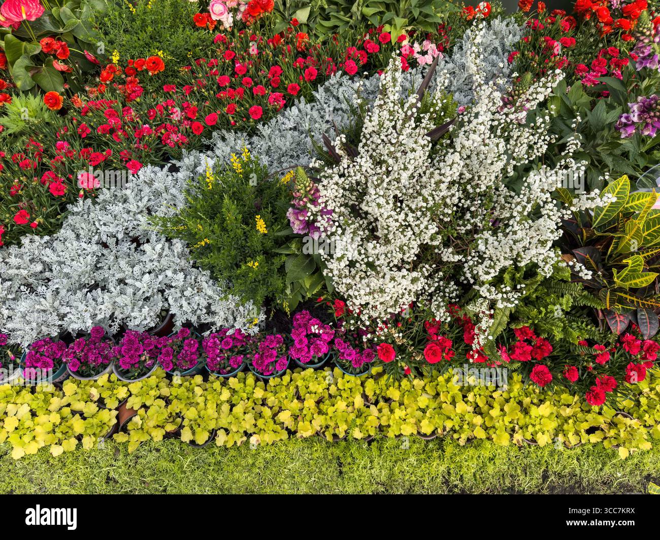 Jardin de fleurs chinois avec des couches de fleurs colorées, affichage floral ornemental, printemps en Chine Banque D'Images