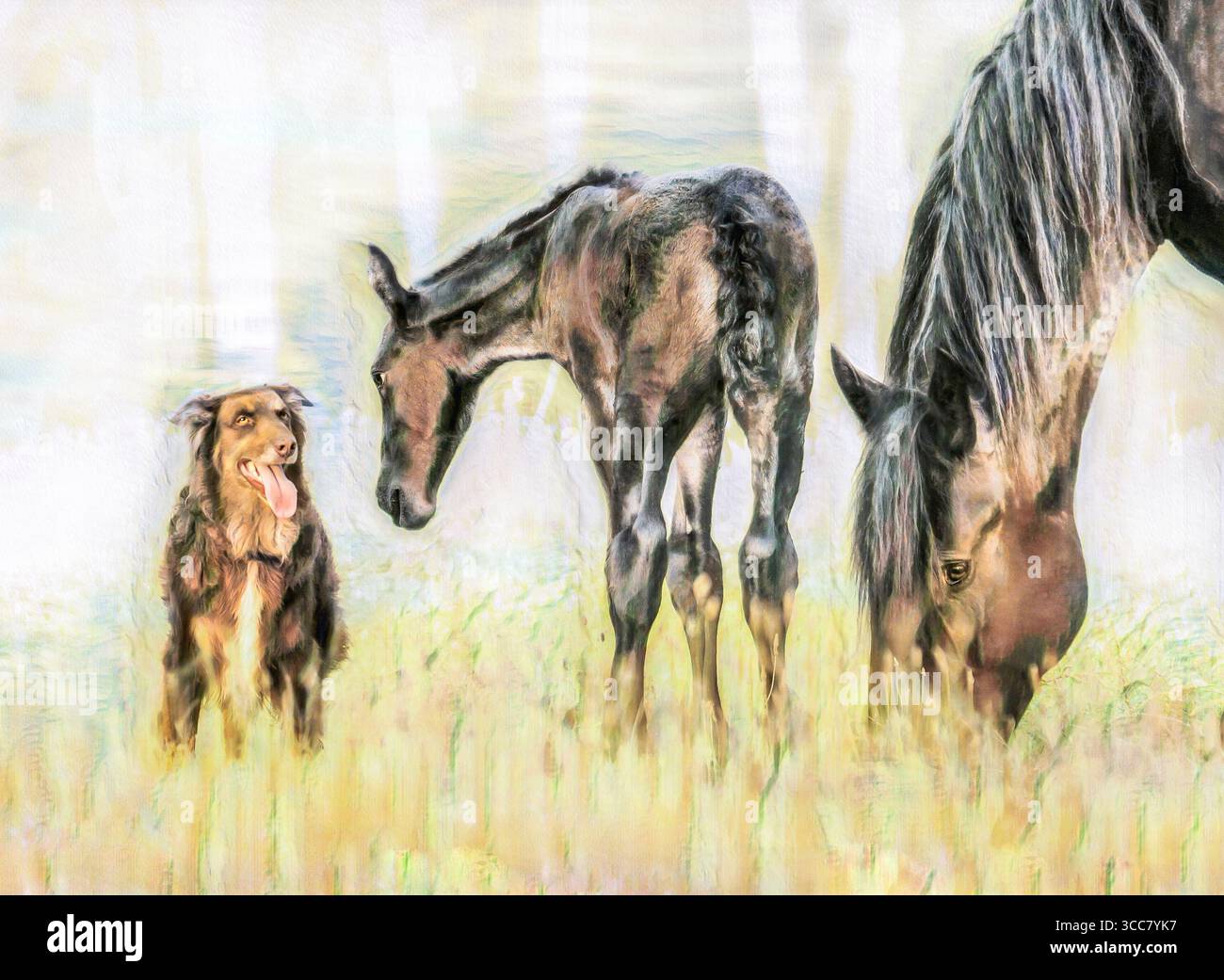 Jument Percheron Draft Horse avec poulain nouveau-né. Photo numérique stylisée Banque D'Images