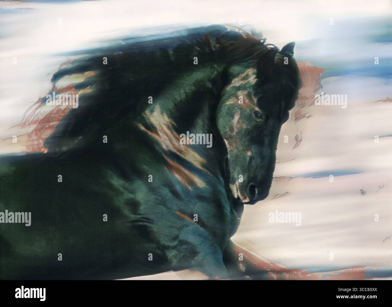 Portrait d'action étalon cheval frison adulte en cours d'exécution.. Photo numérique stylisée Banque D'Images