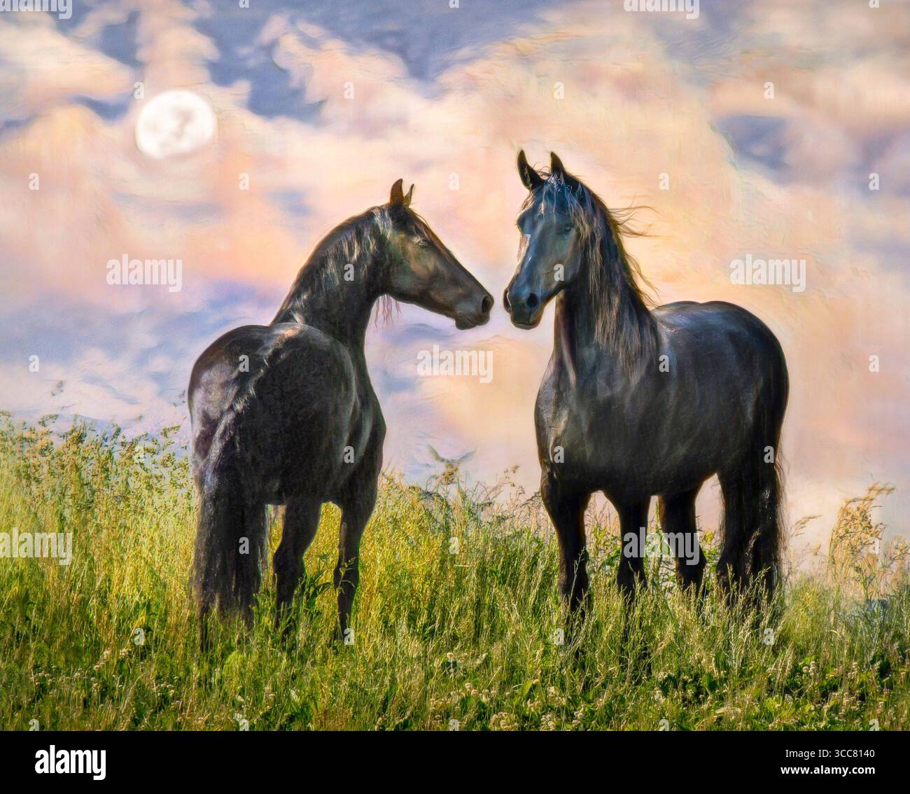 Silhouette de juments frisonnes par la lune sur une colline avec de hautes herbes. Photo numérique stylisée Banque D'Images