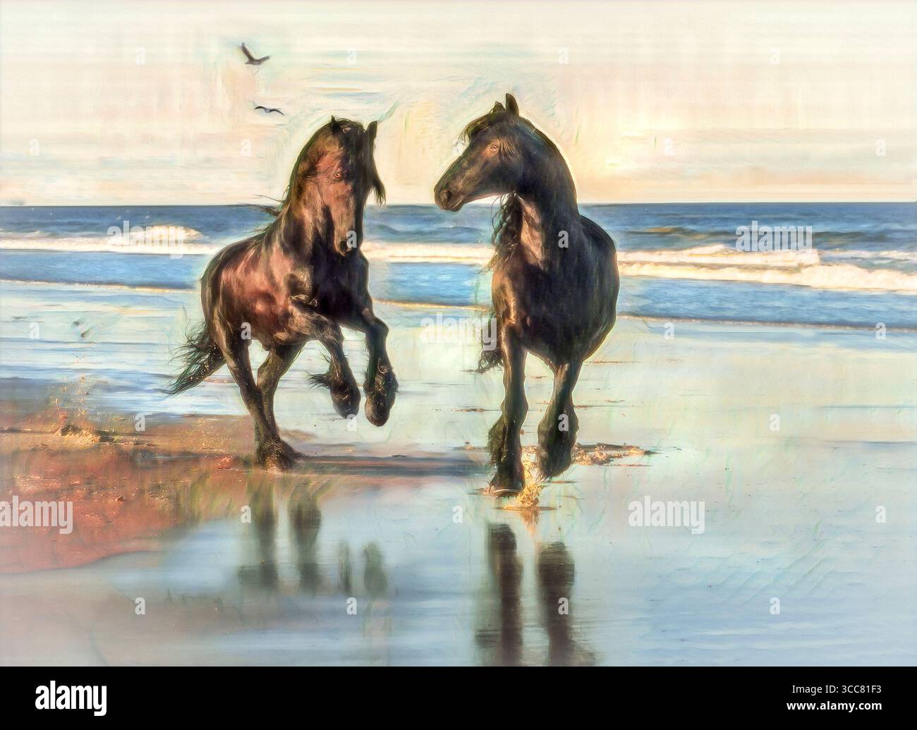 Les chevaux mâles adultes frisonnais se baladent sur le sable de la plage. Photo numérique stylisée Banque D'Images