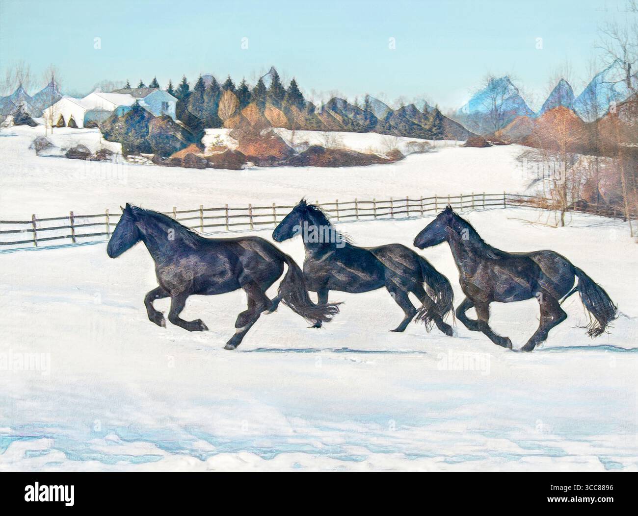 Les femelles adultes des chevaux friseurs galopent dans un paddock couvert de neige. Photo numérique stylisée Banque D'Images