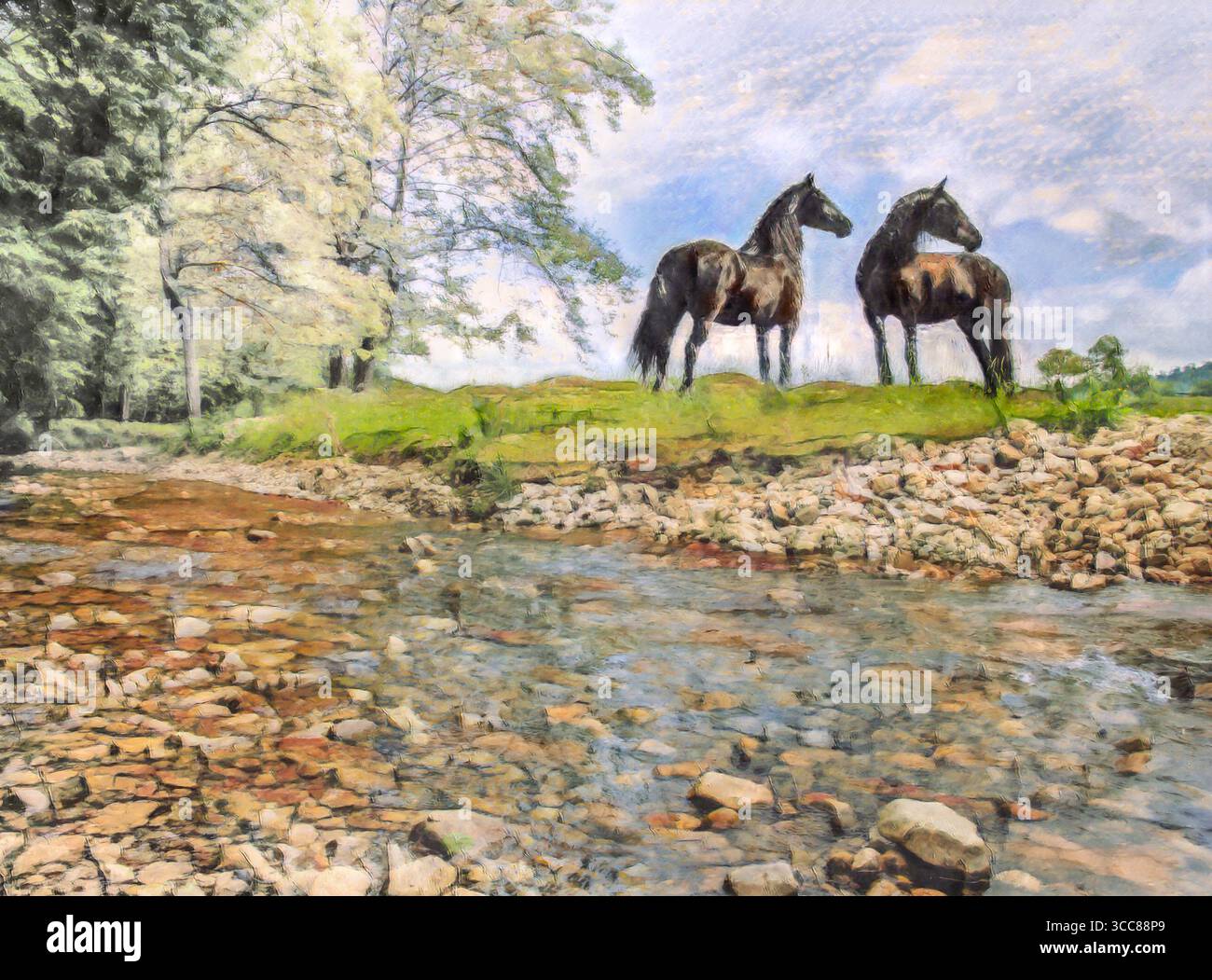 Deux juments de chevaux adultes frisonnes dans un champ d'herbe en courant le ruisseau. Photo numérique stylisée Banque D'Images