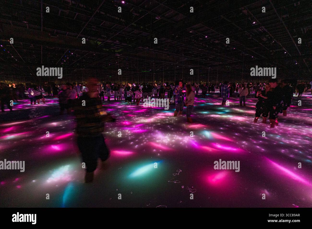 Visiteurs marchant dans l'eau profonde de la cheville en profitant de l'exposition interactive danse de Koi et People - Infinity au musée d'art moderne Teamlab Planets, Toy Banque D'Images