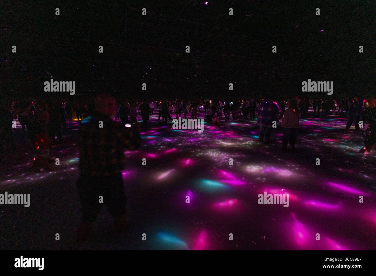 Visiteurs marchant dans l'eau profonde de la cheville en profitant de l'exposition interactive danse de Koi et People - Infinity au musée d'art moderne Teamlab Planets, Toy Banque D'Images