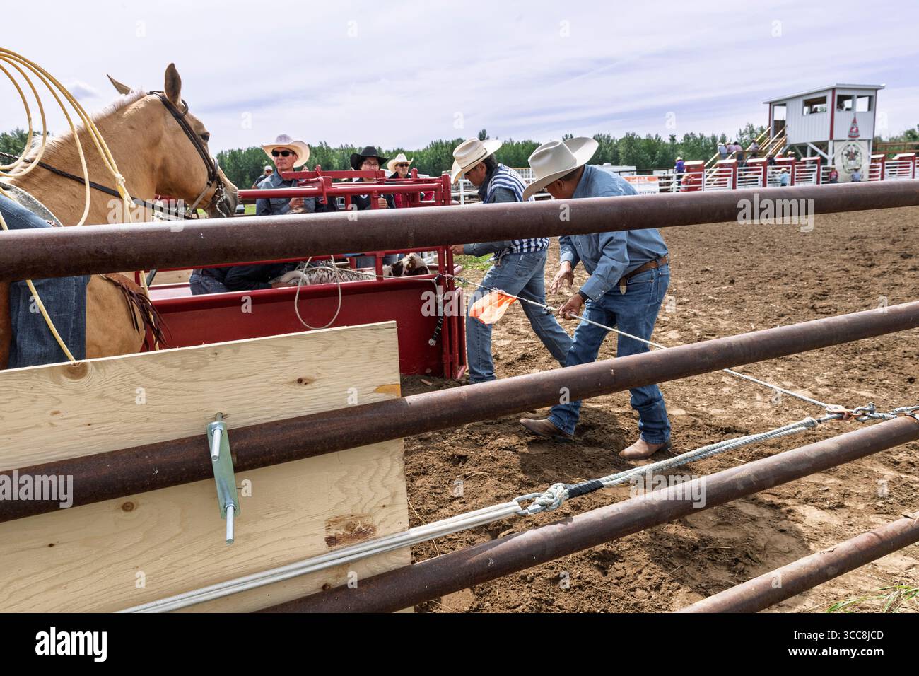 Des cow-boys préparant une corde de barrière pour un événement de corde de veau à un rodéo indien à Enoch Alberta Canada Banque D'Images