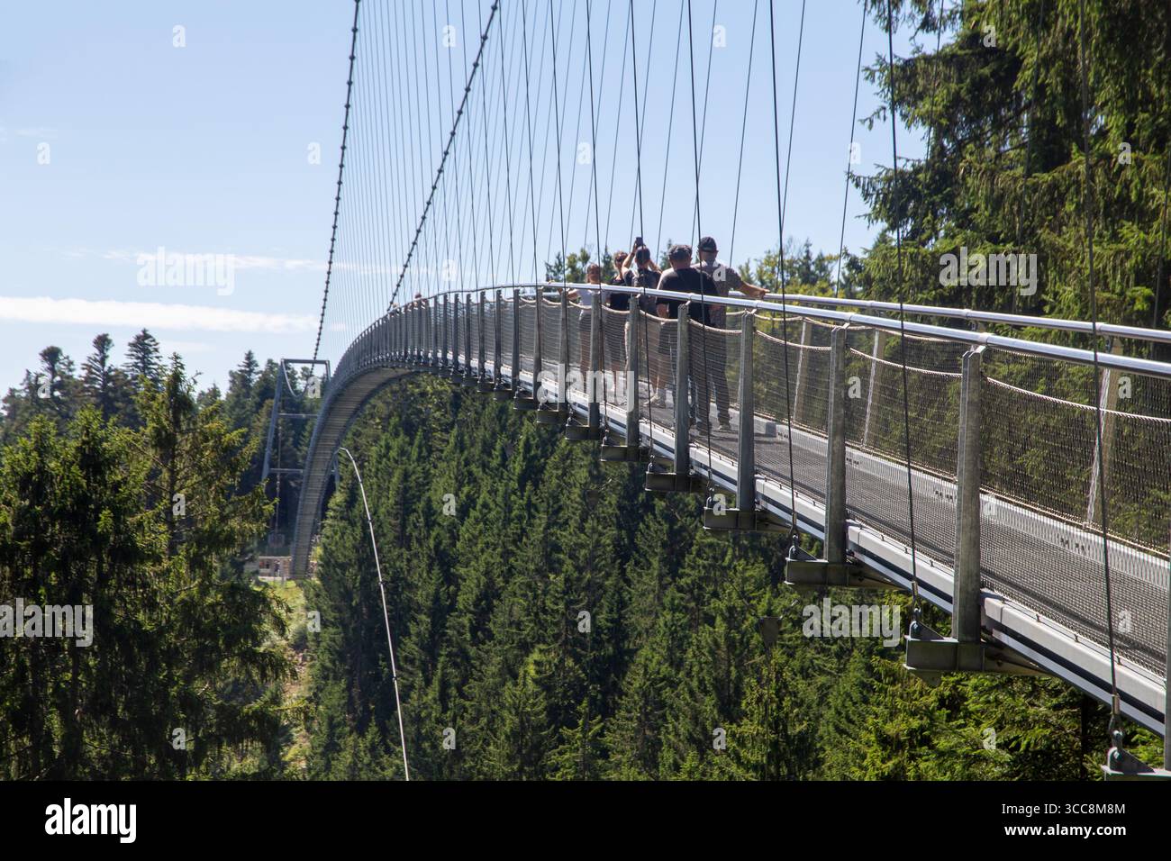 Wildline Bad Wildbad : le pont suspendu pour piétons mesure 380 mètres de long et 60 mètres de haut. Il a été ouvert en 2018 comme une attraction touristique Banque D'Images