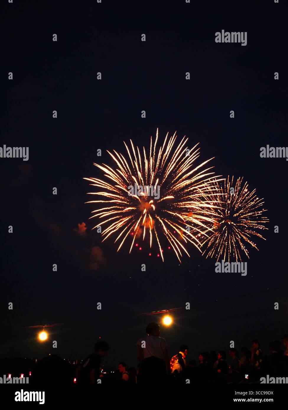 Feux d'artifice dorés illuminant le ciel crépusculaire au-dessus des foules au Itabashi Fireworks Festival 2025 de Tokyo Banque D'Images