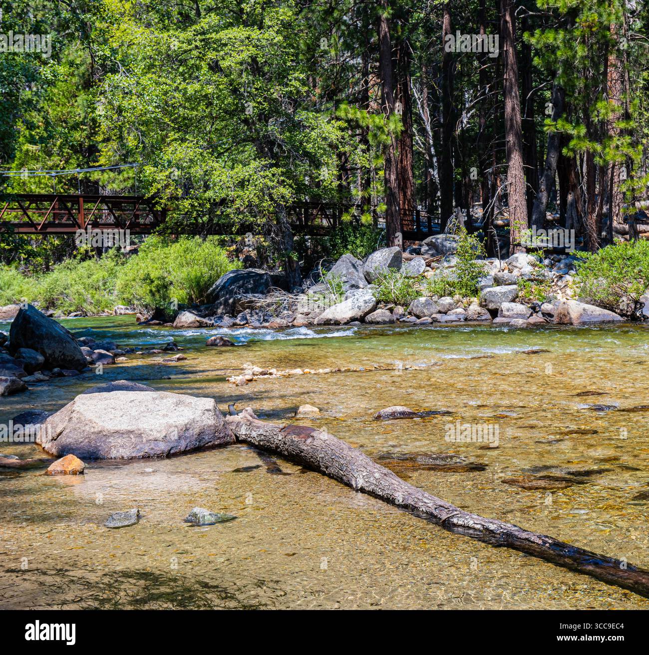 Hikers Bridge traversant la rivière Kings sur le sentier Zumwalt Meadow Loop, parc national de Kings Canyon, Californie, États-Unis Banque D'Images