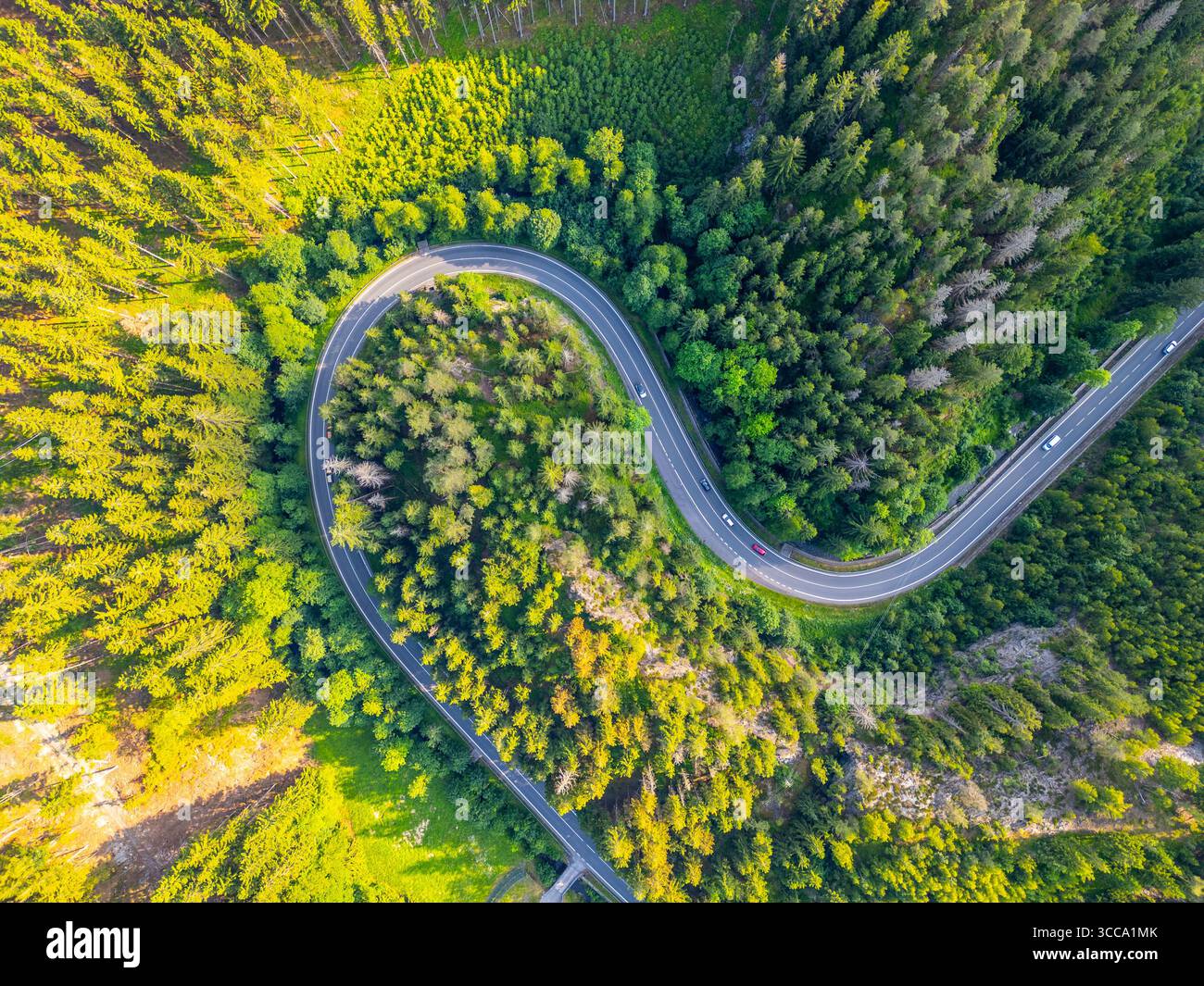 Une route asphaltée sinueuse serpente à travers une vallée forestière luxuriante, entourée d'arbres verts denses sous un ciel clair et lumineux. Les véhicules sont visibles naviguant sur le chemin sinueux. Banque D'Images
