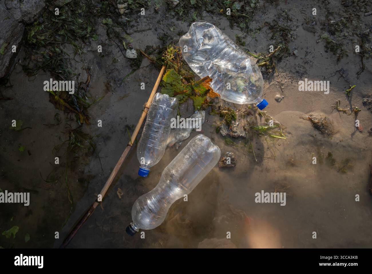 Illustration de l'impact humain sur la nature avec des poissons morts et des bouteilles en plastique contaminant le rivage d'une rivière. Symbole de négligence environnementale et écologi Banque D'Images