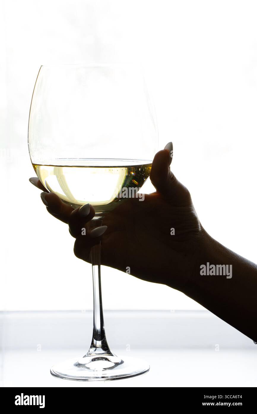 Main de femme avec manucure tenant un verre de vin blanc par la fenêtre dans une pièce lumineuse Banque D'Images