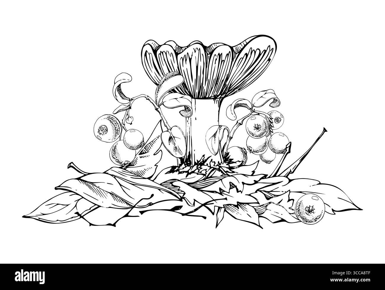 Champignon Russula cortinarius webcap, branches de canneberge et d'airelle sur le dessus des feuilles d'automne tombées empilées de brindilles. Scène de forêt forestière. Champignons Illustration de Vecteur