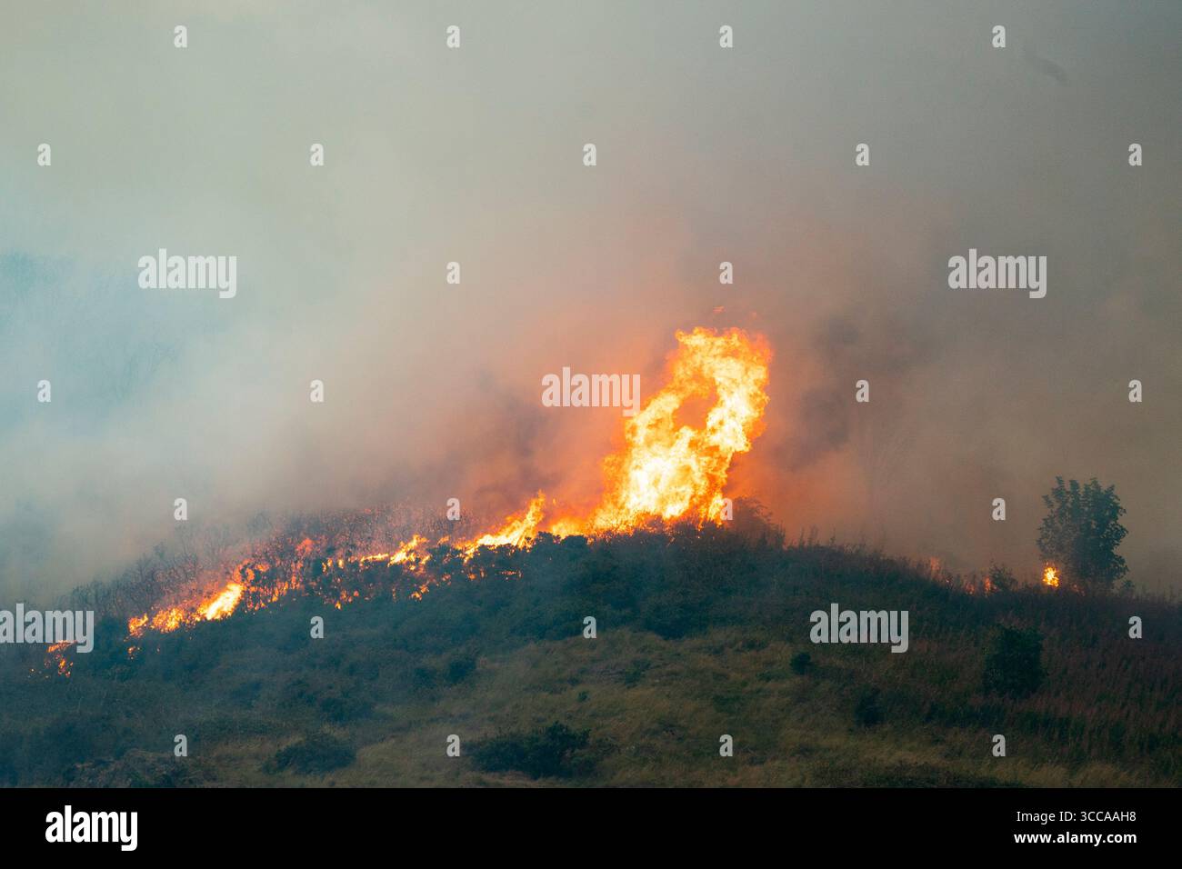 Édimbourg, Écosse, Royaume-Uni. 10 août 2025. Wildfire se brise en gorse et sous-bois sur les pentes sud d'Arthur's Seat dans Holyrood Park à Édimbourg Banque D'Images
