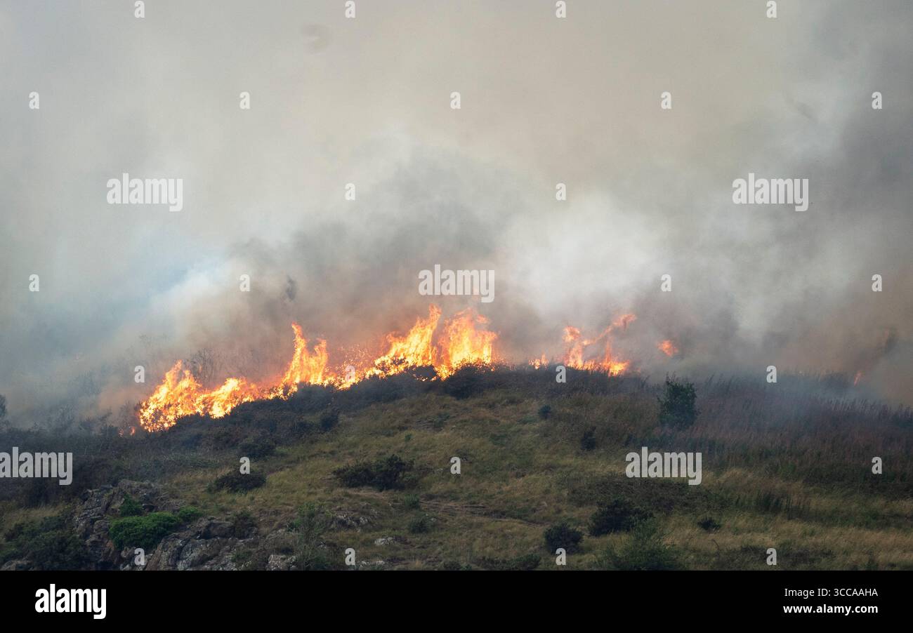 Édimbourg, Écosse, Royaume-Uni. 10 août 2025. Wildfire se brise en gorse et sous-bois sur les pentes sud d'Arthur's Seat dans Holyrood Park à Édimbourg Banque D'Images