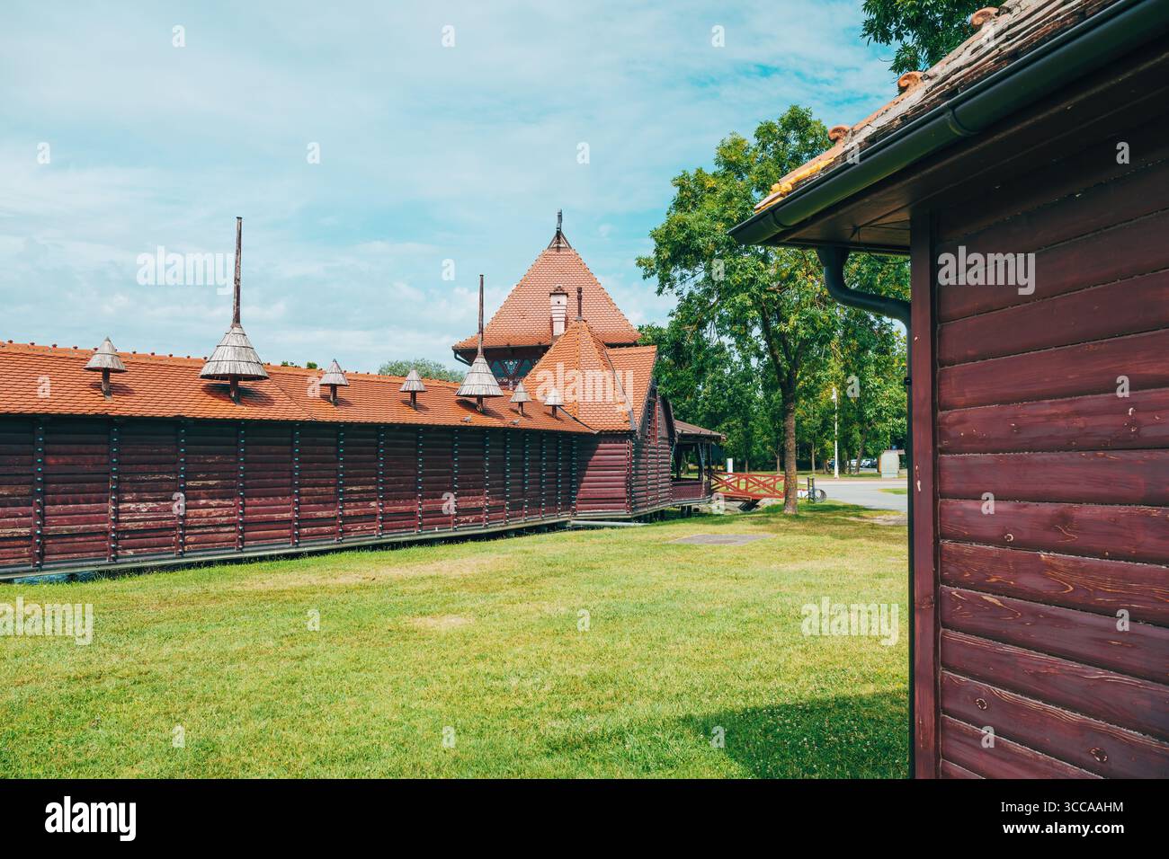 Hangar à bateaux traditionnel en bois avec des détails ornés sur le lac Palic, Serbie, s'étendant au-dessus de l'eau verte calme sous un ciel d'été lumineux. Mise au point sélective Banque D'Images