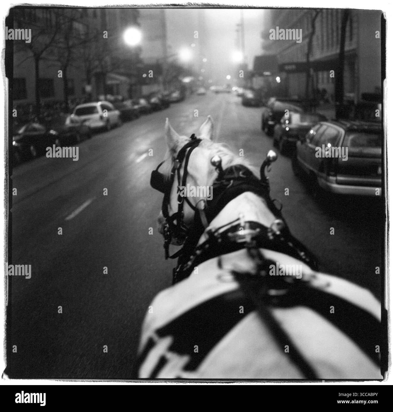 Un cheval de calèche trotte dans une rue au crépuscule, Chicago, États-Unis. Banque D'Images
