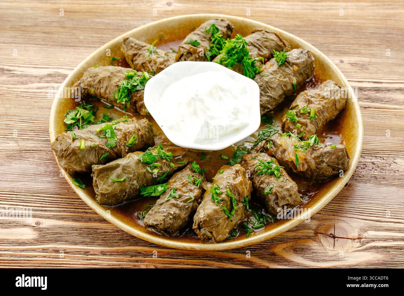 dolma sur une assiette avec de la crème sure et des herbes Banque D'Images