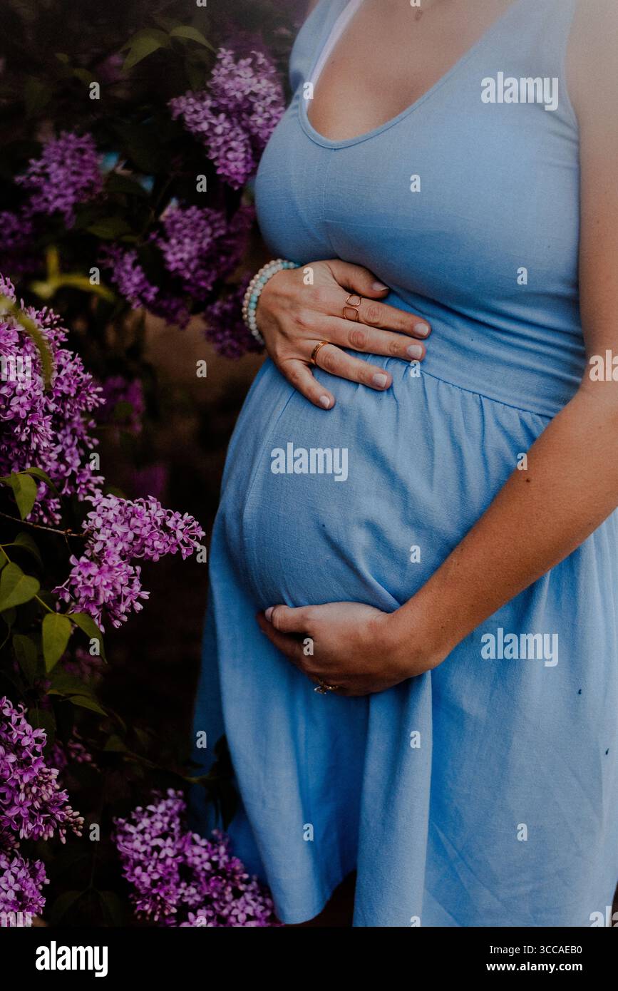 Femme enceinte dans les parcs avec des lilas Banque D'Images