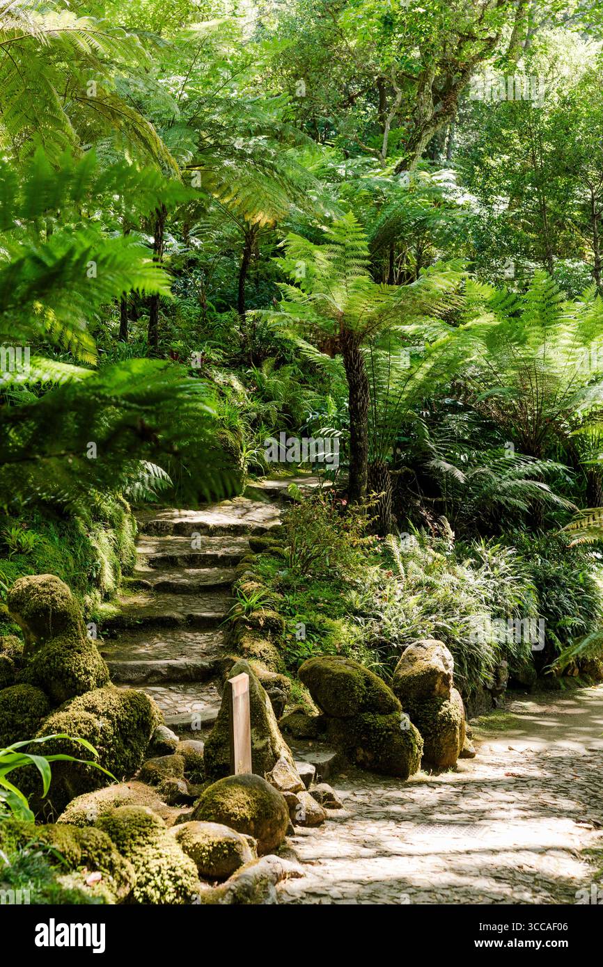 Chemin en pierre avec des rochers moussues et des fougères dans les jardins du Palais de Monserrate Banque D'Images