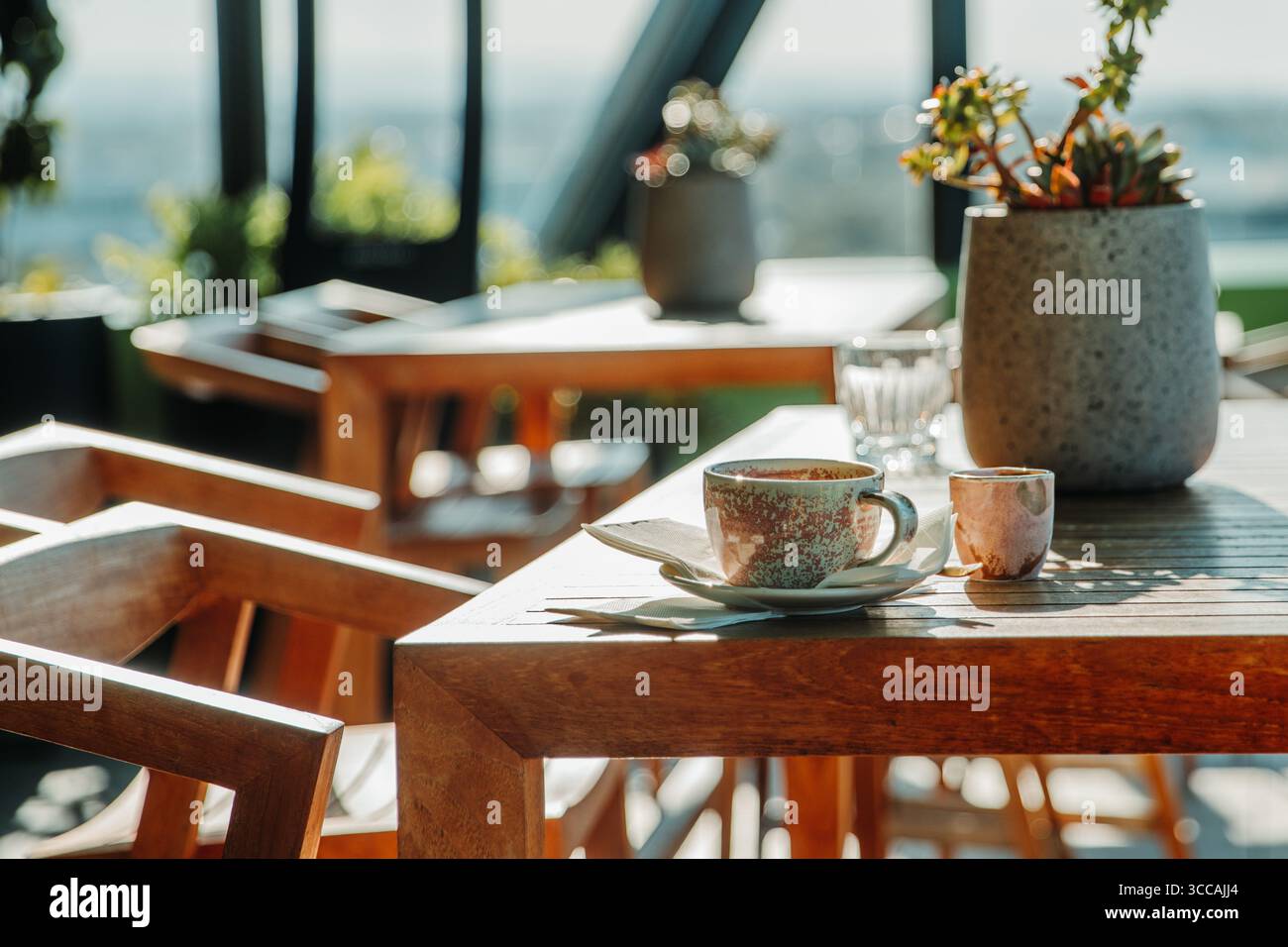 Tables de café en plein air avec des plantes et des verres Banque D'Images