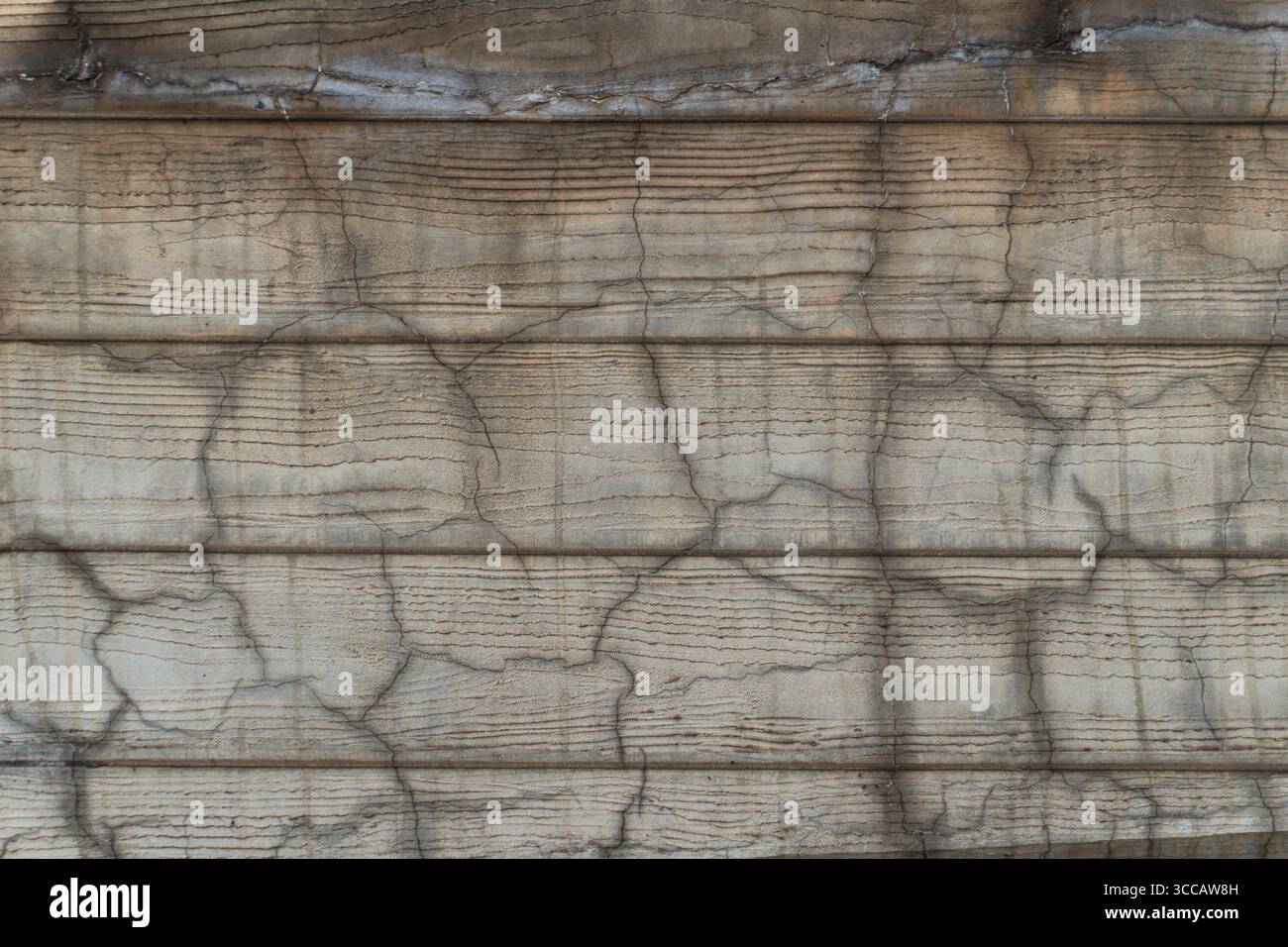 Fond de texture en bois sur une planche Banque D'Images