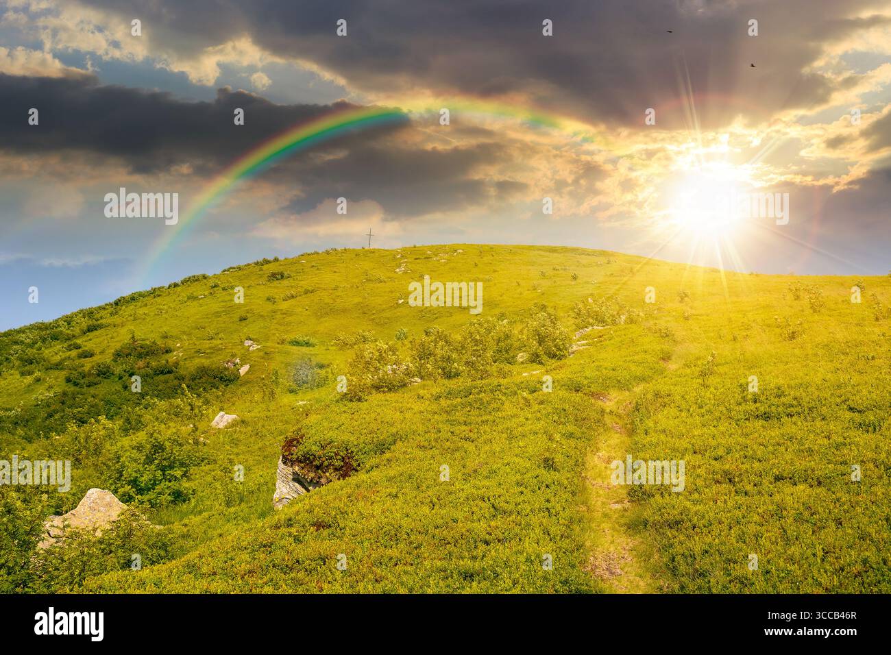 paysage de montagne en été au coucher du soleil. colline verte et ciel bleu. fond de nature pittoresque pour voyager dans le paysage alpin. vue paisible dans la lumière du soir Banque D'Images