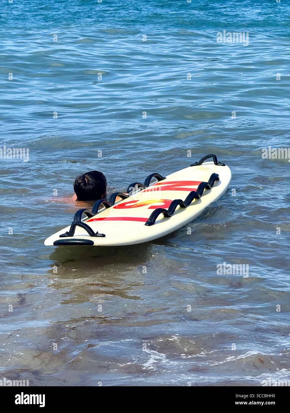 Sauveteur dans l'eau tenant une planche de sauvetage sur une plage des Açores, Portugal, prêt à l'action. Banque D'Images