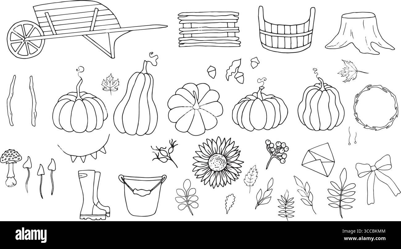 Collection d'éléments sur le thème de l'automne. Illustration vectorielle d'objets en bois, légumes, baies, fleurs. Graphiques noirs simples, dessinés à la main en doodle Illustration de Vecteur