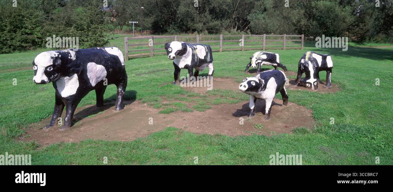 Aujourd'hui célèbres vaches en béton dans l'image d'archives prise en 2002 de sculptures individuelles demi-taille de Friésiens noirs et blancs regardant des vaches et des veaux en béton et fil de poulet par l'artiste américaine Liz Leyh en 1978 situé à l'époque dans North Loughton Valley Park Milton Keynes Buckinghamshire Angleterre Royaume-Uni Banque D'Images