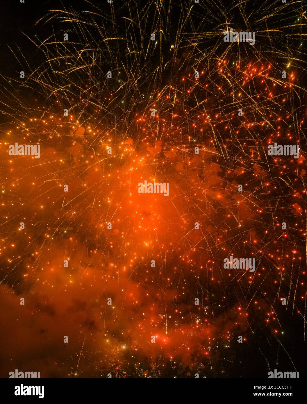 Explosion de feux d'artifice colorés éclairant le ciel nocturne avec des étincelles dorées et rouges Banque D'Images